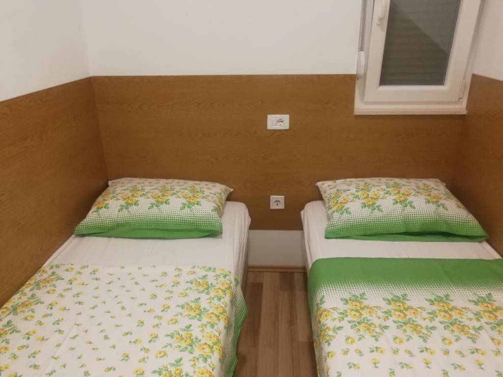 רוגוזניצה Apartman Darko מראה חיצוני תמונה